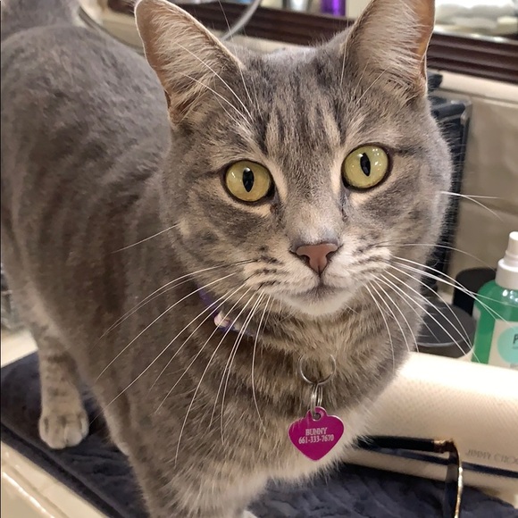 Jimmy Choo sunglasses - Picture 2 of 6